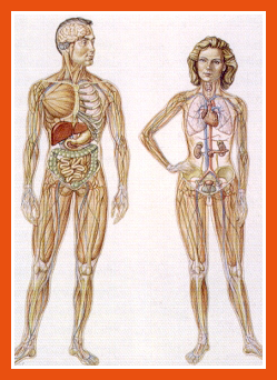 Sound Mind and Whole Body